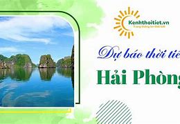 Dự Báo Thời Tiết Tân Phong Ninh Giang Hải Dương