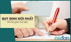 Luật Lao Động Thử Việc Mấy Tháng