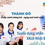 Nhân Viên Tư Vấn Xkld