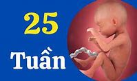 Thai Nhi 25 Tuần Nặng Bao Nhiêu